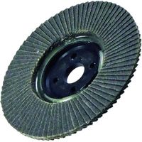 柳瀬 ヤナセ ガラスTOPディスク#80 TC05 1枚 419-2364（直送品）