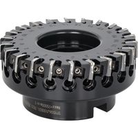 タンガロイ タング・スピード・ミル 正面フライスカッタ TPYD06 TPYD06J100B31.7R12 1個 286-8269（直送品）