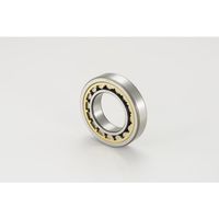 NTN 円筒ころ軸受 NU形(すきま大タイプ)内輪径75mm 外輪径160mm 幅37mm NU315EAG1C3 1個 258-0478（直送品）