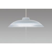 ホタルクス LED洋風ペンダント ~8畳 シンプルデザイン スモーク樹脂セード 3869lm HCDB0851-X 1台 562-7295（直送品）