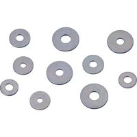 カメダデンキ カメダ 平ワッシャー Wー19ー3C (100個入り) 1袋(100個) 554-4133（直送品）