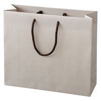 ヘッズ 無地サンドベージュペーパーバッグー2 50枚（10枚×5セット）