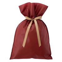 ヘッズ 不織布リボン付ギフトバッグーM/エンジ 100枚（10枚×10セット）