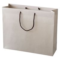 ヘッズ 無地サンドベージュペーパーバッグー1 100枚（10枚×10セット）