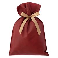 ヘッズ 不織布リボン付ギフトバッグーS/エンジ 100枚（10枚×10セット）