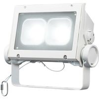 岩崎電気 岩崎 LED投光器(60クラス、超広角タイプ、昼白色タイプ) ECF6040SW/NSAN8/W 1台 535-6367（直送品）