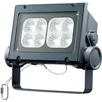 岩崎電気 岩崎 LED投光器(60クラス、中角タイプ、昼白色タイプ) ECF6040M/NSAN8/DG 1台 535-4793（直送品）