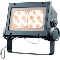 岩崎電気 岩崎 LED投光器(60クラス、狭角タイプ、電球色タイプ) ECF6040N/LSAN8/DG 1台 535-6339（直送品）