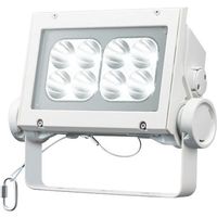 岩崎電気 岩崎 LED投光器(60クラス、狭角タイプ、昼白色タイプ) ECF6040N/NSAN8/W 1台 535-6394（直送品）