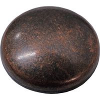 ダンドリビス いたずら防止キャップ 16mm SUS アンティークブロンズ BP C-MSXSAB-10 1パック(10組)（直送品）