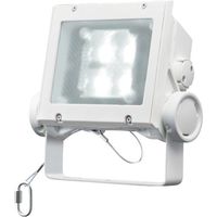 岩崎電気 岩崎 LED投光器(20クラス、広角タイプ、昼白色タイプ) ECF2040W/NSAN8/W 1台 535-6319（直送品）