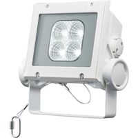 岩崎電気 岩崎 LED投光器(20クラス、中角タイプ、昼白色タイプ) ECF2040M/NSAN8/W 1台 535-4827（直送品）