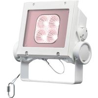 岩崎電気 岩崎 LED投光器(20クラス、中角タイプ、白色タイプ) ECF2040M/VWSAN8/W 1台 535-6356（直送品）