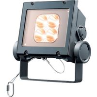 岩崎電気 岩崎 LED投光器(20クラス、狭角タイプ、電球色タイプ) ECF2040N/LSAN8/DG 1台 535-4831（直送品）