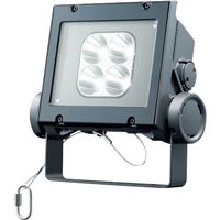 岩崎電気 岩崎 LED投光器(20クラス、狭角タイプ、昼白色タイプ) ECF2040N/NSAN8/DG 1台 535-6370（直送品）