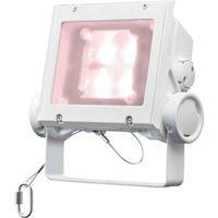 岩崎電気 岩崎 LED投光器(40クラス、広角タイプ、白色タイプ) ECF4040W/VWSAN8/W 1台 535-6371（直送品）