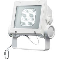 岩崎電気 岩崎 LED投光器(40クラス、狭角タイプ、昼白色タイプ) ECF4040N/NSAN8/W 1台 535-6400（直送品）