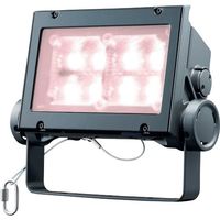 岩崎電気 岩崎 LED投光器(60クラス、広角タイプ、白色タイプ) ECF6040W/VWSAN8/DG 1台 535-4832（直送品）