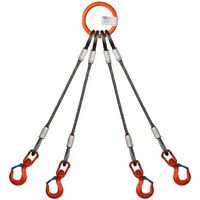 TAIYO 4本吊 ワイヤスリング 1.6t用×1m(Vベル仕様)(1015096) 4WRVHS1.6TX1 1セット(1個)（直送品）