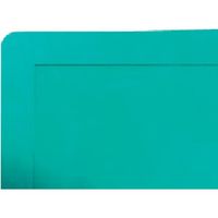 ブラストン 粘着マットフレーム 600X1200MM用 グリーン BSC-84100-612 1枚 572-2789（直送品）