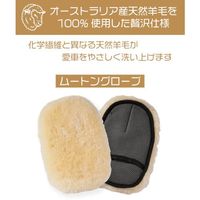 アピカ ムートングローブ 10個セット 160×250mm 天然羊毛100%(オーストラリア産) F011 1式(10枚) 537-3068（直送品）