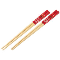XP[^[ ANT4W | 21cm (2P) ynE̓ JVt@[z 631429-ANT4W 1Zbg(2V)iij