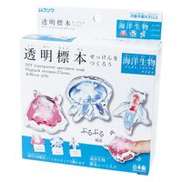 クツワ 透明標本せっけんをつくろう・生物 PT211B 1個 - アスクル