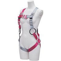 基陽 KH ノングラフルハーネス プロミネ FXVW11-M 1本 530-2902（直送品）