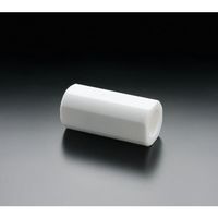 フロンケミカル フッ素樹脂（PTFE）チェックバルブNR1666