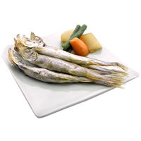 VNJC q() 97191339 1(1kg×5ܓ)iij
