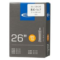 SCHWALBE 自転車用チューブ 13DV_BOX 1本（直送品）