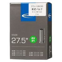 SCHWALBE 自転車用チューブ 21AV_BOX 1本（直送品）