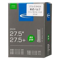 SCHWALBE 自転車用チューブ 21F-AV_BOX 1本（直送品）