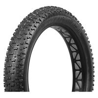 Rainbow Products Japan SNOW SHOE XL 622-00001 1本（直送品）