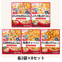 BIGサイズのグーグーキッチン 12か月おすすめセット 5種×2袋 1セット（1箱×8） アサヒグループ食品株式会社