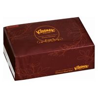 ペーパータオル クリネックス ハンドタオル デ グランデ 100枚入 1パック 日本製紙クレシア