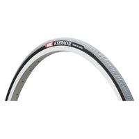 井上ゴム工業 EXERACER グレー(WO 25-501) HP93 1本（直送品）