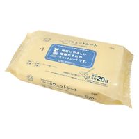 Life-do.Plus 地球おもいフローリング用ウェットシート20枚 4589506154708 1セット(20枚×10点)（直送品）