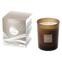 日本香堂 レーヴブラン キャンドル 4902125522169 1セット(450g×1点)（直送品）