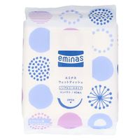 丸住製紙 エミナスウェットティッシュコンパクトノンアルコールノルディック 4948258007401 1セット(40枚×8点)（直送品）