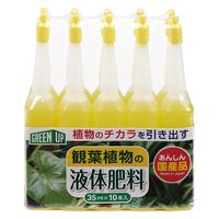 小久保工業所 液体肥料(観葉植物用)35ml 4971902926162 1セット(1個(10本)×6)