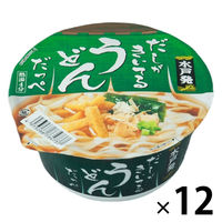 【アウトレット】麺のスナオシ だしがきいてるうどんだっぺ 1セット（1食×12） カップラーメン