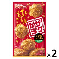 日清 から揚げ粉 ザクから逸品 コク旨しょうゆ味 100g＜鶏もも肉2枚分＞ 1セット（1個×2）日清製粉ウェルナ