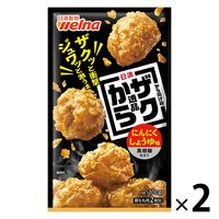 日清 から揚げ粉 ザクから逸品 にんにくしょうゆ味 黒胡椒仕立て 100g＜鶏もも肉2枚分＞ 1セット（1個×2）日清製粉ウェルナ