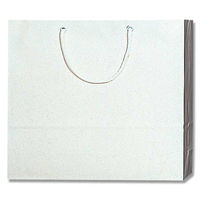 シモジマ ブライトバッグ GM 白 006137901 1袋(10枚)