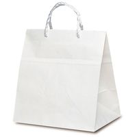 ベルベ 紙袋 PP紐手提袋 T-ワイド 白無地(PP紐) 1738 1包(25枚)
