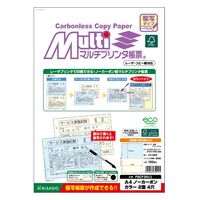 ヒサゴ Ａ４ＮＣカラー FSCF201