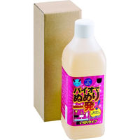 ビッグバイオ バイオのちから バイオでぬめり一発! 排水管用 使い切りタイプ 1L 1本(1L入)（直送品）