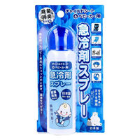日本フイリン チャイルドシート&ベビーカー用 急冷剤スプレーE 60g 4976074437041 1本(60g入)（直送品）
