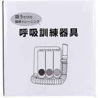 身体呼吸療法～身体呼吸誘導の操作とメカニズム～（全４枚セット・分売不可) DVD4枚組】身体呼吸療法～身体呼吸誘導の操作とメカニズム